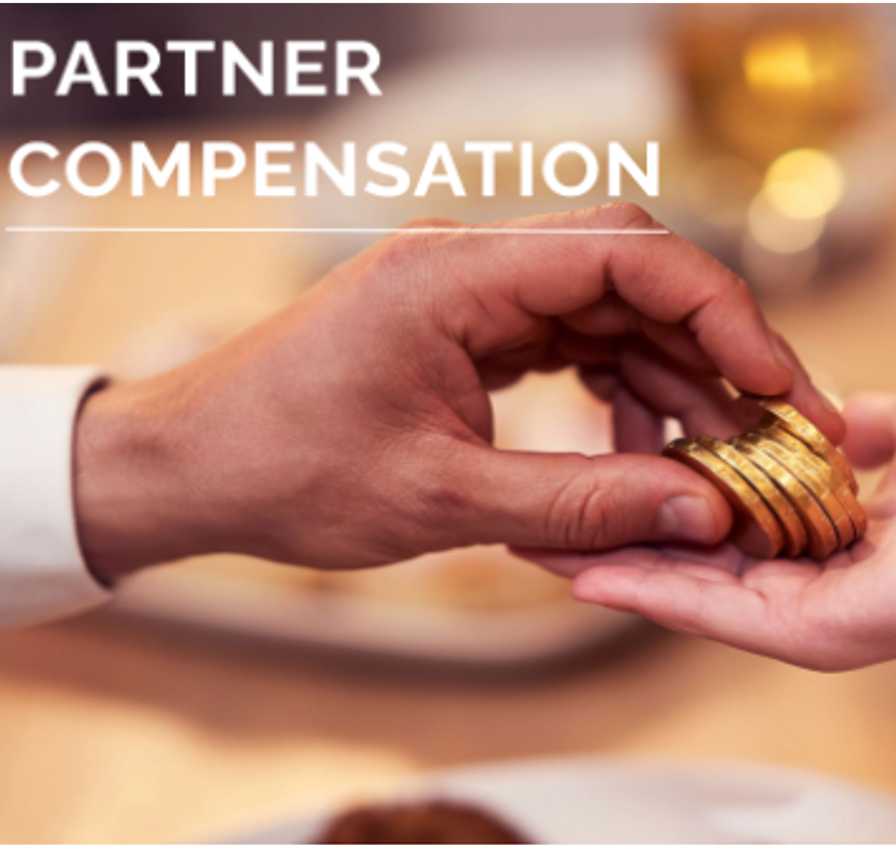 Partner Comp-1